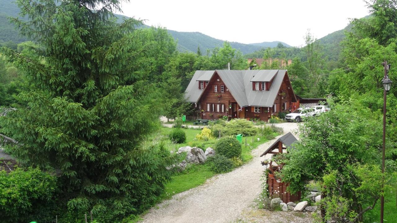 Casa Edelweiss - Gyopar - Flore De Colt Rimetea Exterior photo